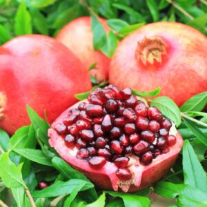 Gránátalma (Punica granatum 'Wonderfull')
